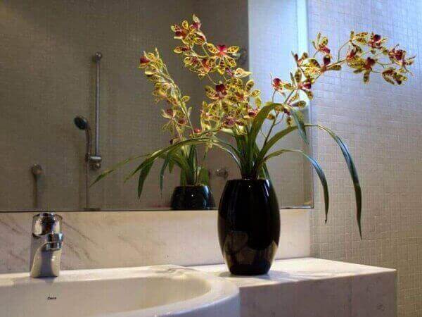 Como Cuidar de Orquídea